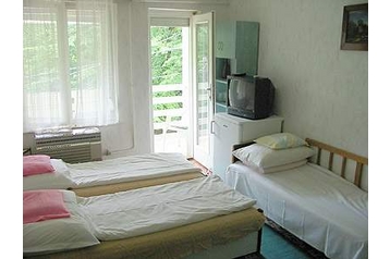 Madjarska Privát Miskolc, Miškolc, Interijer
